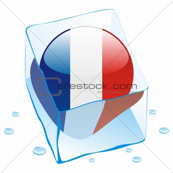 vector illustration of france button flag frozen in ice cube