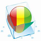 vector illustration of guinea button flag frozen in ice cube
