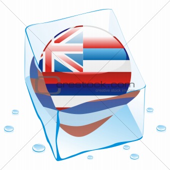illustration of hawaii button flag frozen in ice cube