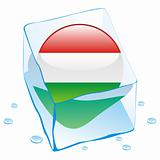 vector illustration of hungary button flag frozen in ice cube