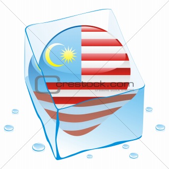 vector illustration of malaysia button flag frozen in ice cube