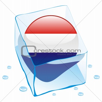 vector illustration of netherlands button flag frozen in ice cube
