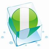 vector illustration of nigeria button flag frozen in ice cube