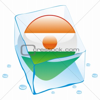 vector illustration of niger button flag frozen in ice cube