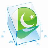 vector illustration of pakistan button flag frozen in ice cube