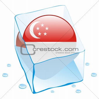 vector illustration of singapore button flag frozen in ice cube