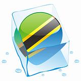 vector illustration of tanzania button flag frozen in ice cube