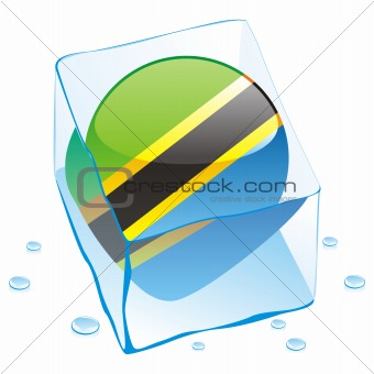 vector illustration of tanzania button flag frozen in ice cube
