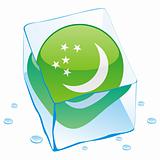 vector illustration of turkmenistan button flag frozen in ice cube