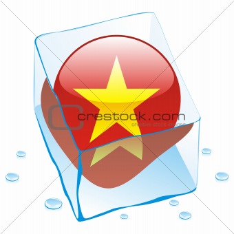 vector illustration of vietnam button flag frozen in ice cube