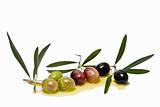 Olives to make olive oil.