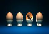life in egg