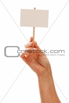 Woman Holding Blank White Sign Isolated on a White Background - Ready for Your Own Message.