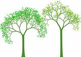 spring trees, vector