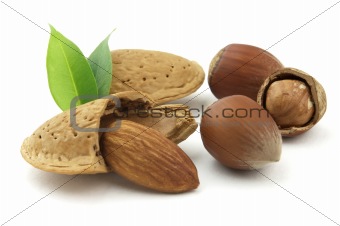 Almonds with filbert