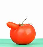 funny shaped red tomato