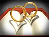Interlocking wedding rings