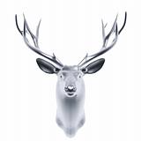 silver deer head