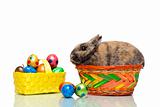Easter bunny sitting in basket with Easter eggs