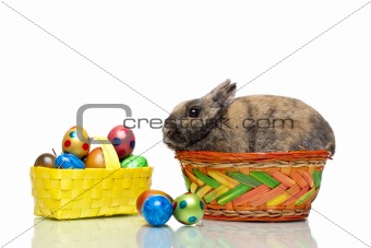 Easter bunny sitting in basket with Easter eggs