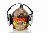 Easter bunny sitting in basket with headphone and Easter egg