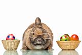 Cute Easter bunny sitting between baskets with Easter eggs