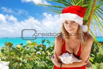 Caribbean christmas