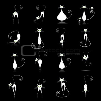 White cat silhouette collections