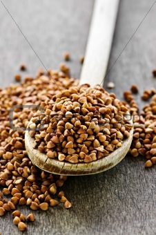 Buckwheat grain