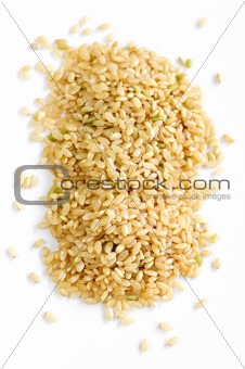 Short brown rice