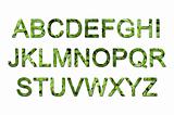 green eco font