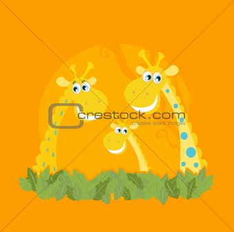 Cute giraffe family portrait