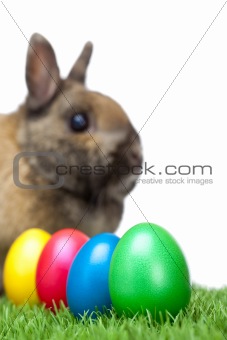 Easter bunny sitting in meadow with colorful Easter eggs