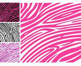 Pink zebra skin animal print pattern