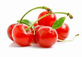 fresh red cherries with green leaves