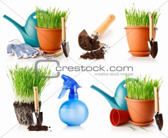 set of green grass in the pot with shovel tool and ground