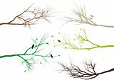 tree branches, vector