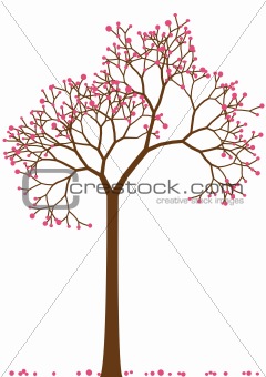 cherry tree, vector