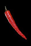 Red hot chilli pepper over black background