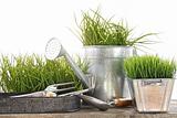 Garden tools and watering can with grass