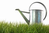 Watering can in grass