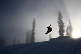 Snowboard silhouet 3