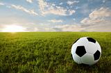 Soccer ball in meadow