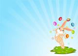 Juggling bunny