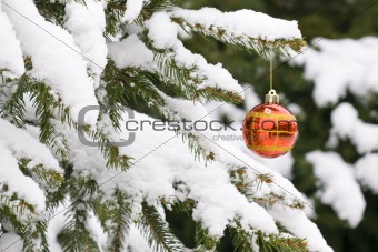 Christmas decorating bulbs and a snowy branch