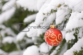Christmas decorating bulbs and a snowy branch