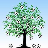 Football tree