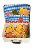 Vintage suitcase with autumn leaves