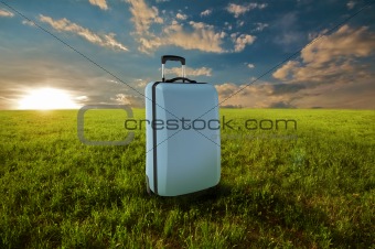 Suitcase in meadow