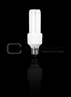 Fluorescent Light Bulb